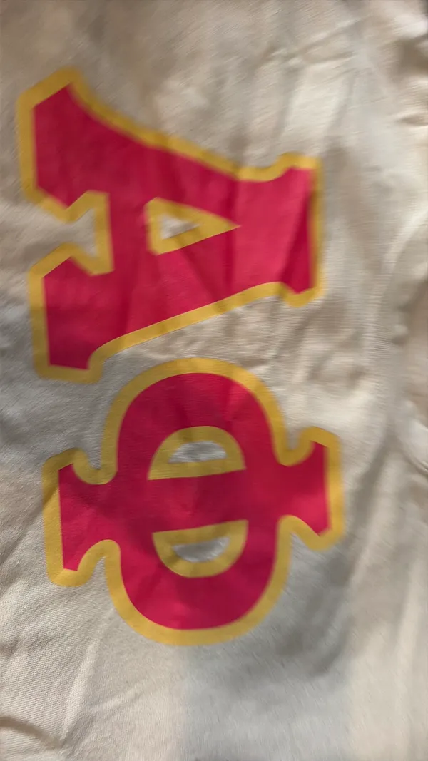 Alpha Phi Gildan Sweatshirt Crewneck - Image 2