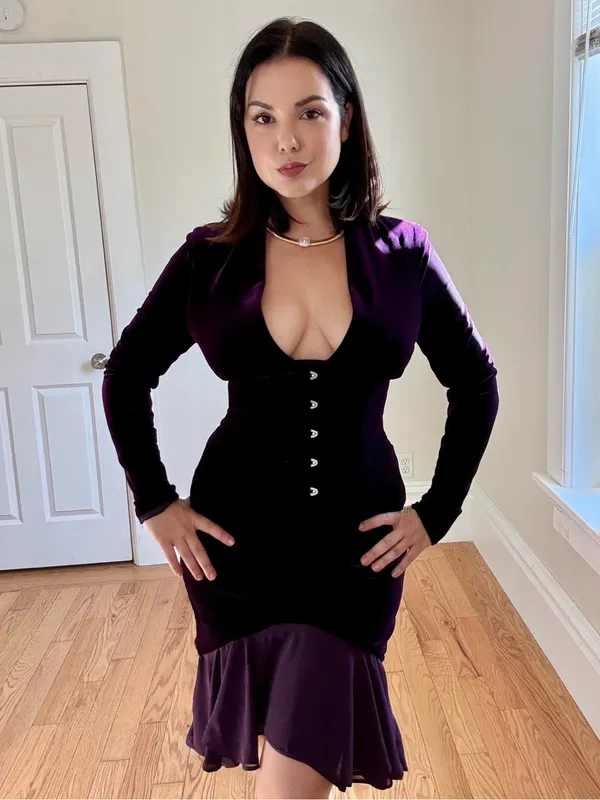 House of CB Dahna Dark Purple Velvet Corset Dress S - Image 4