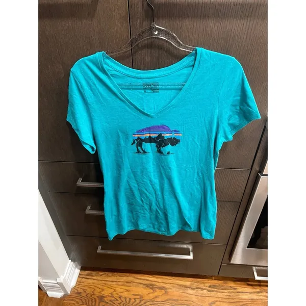 Patagonia Women's Fitz Roy‎ Bison Cotton/Poly V-Neck T-Shirt teal blue women M - Image 2