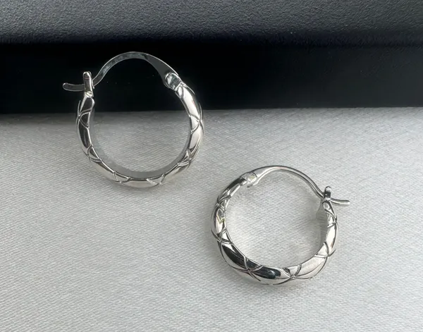 Polished Metal Texture Silver Hoop Earrings for Women - Image 2