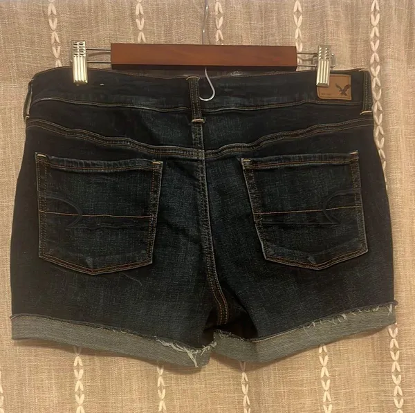 American Eagle Outfitters Shorts - Image 2