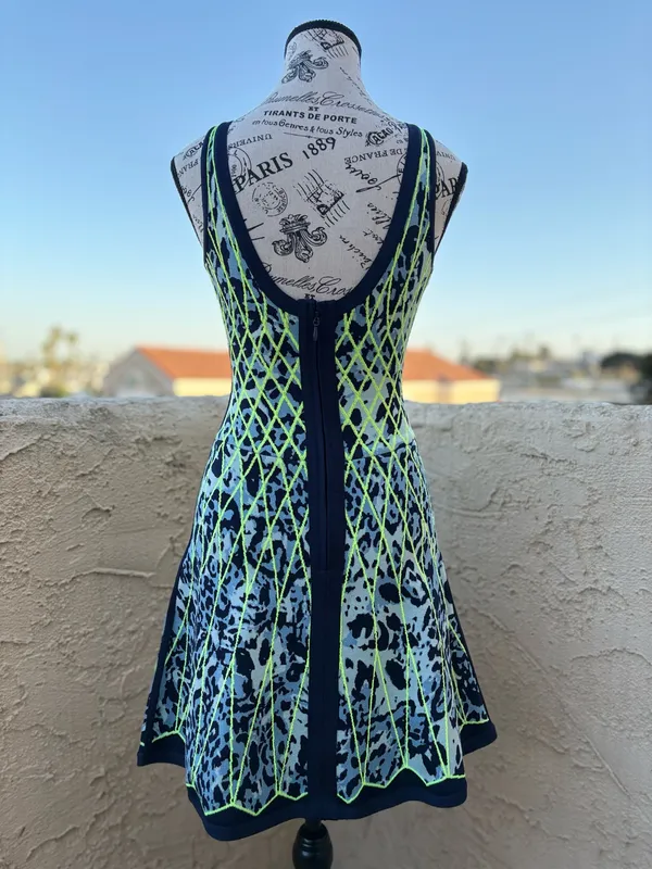 Herve Leger Kollette caged animal jacquard fit and flare dress size extra small - Image 4