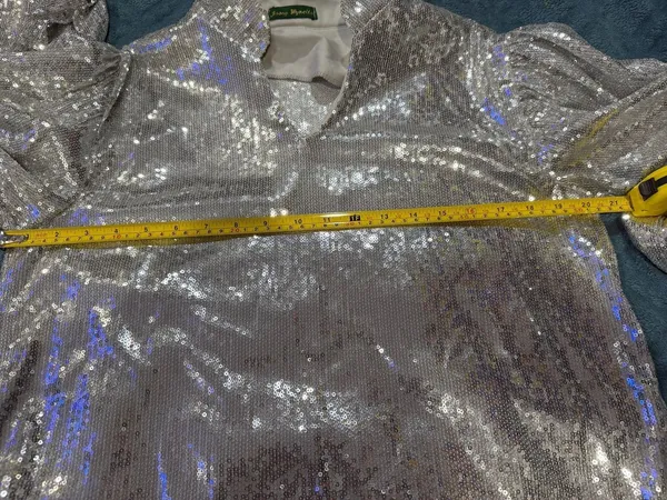Josey Wynette Silver Sequin Long Sleeve V-Neck Blouse and Matching Jogger Set - Image 14