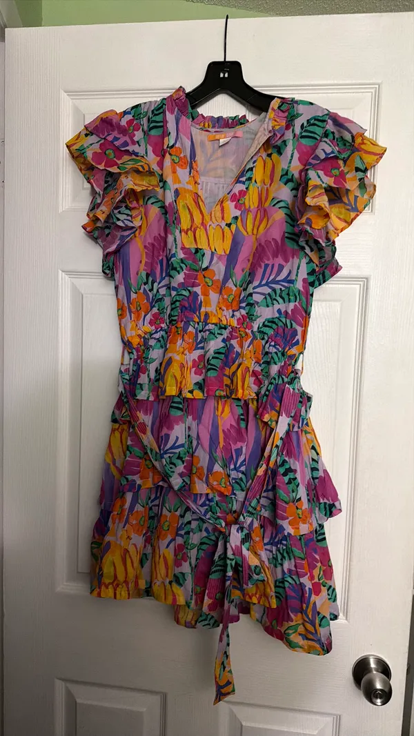 Britton court dress - Image 3