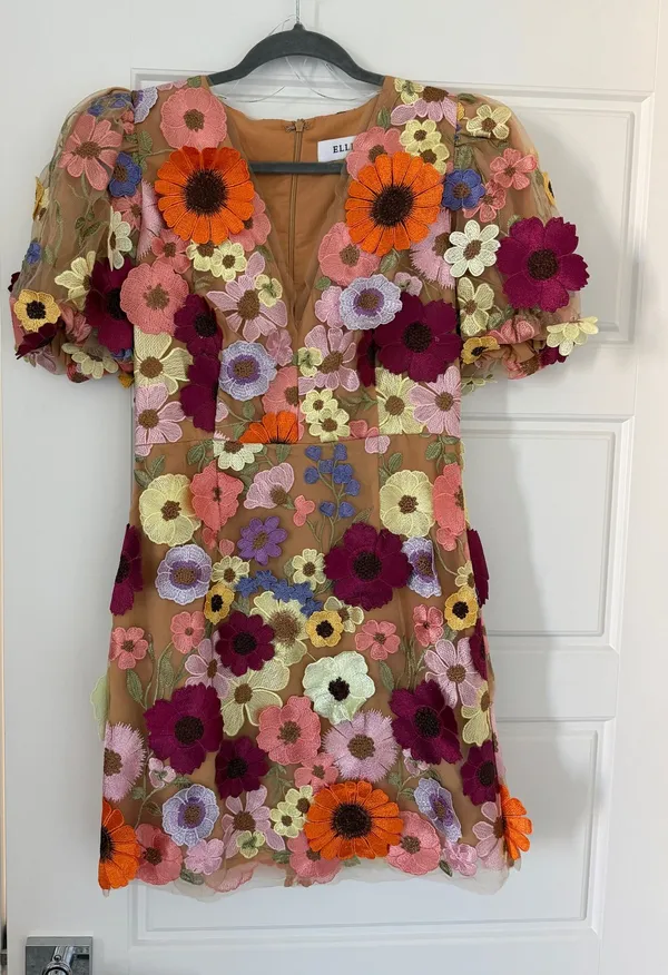Rosalind Elliatt 3D Floral Mini Dress - Image 4