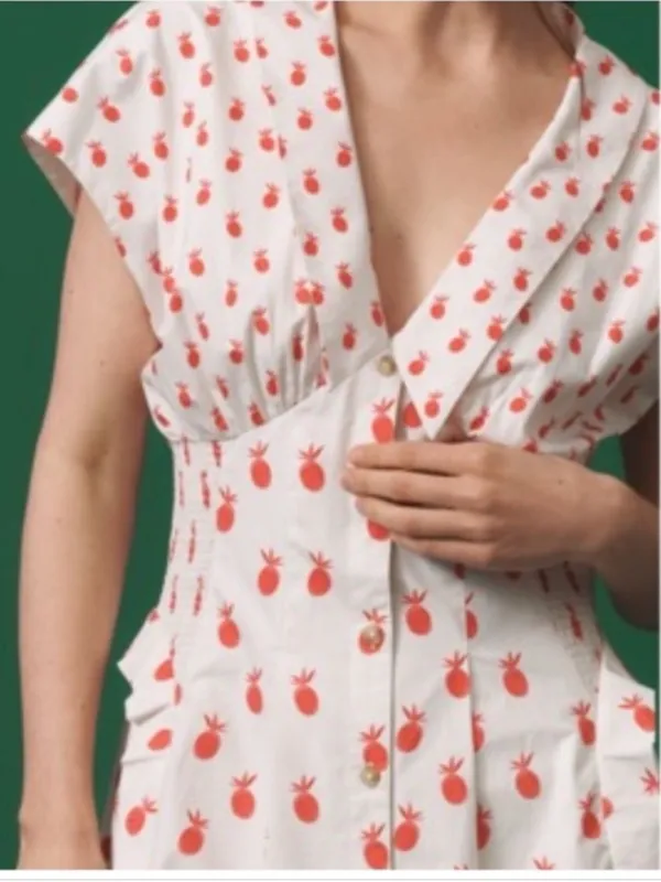 ANTHROPOLOGIE Pineapple Printed V-neck Smocked Waist Midi Dress White size Small - Image 3