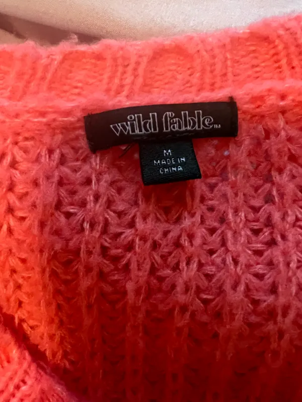 Wild Fable Target Sweater - Image 4