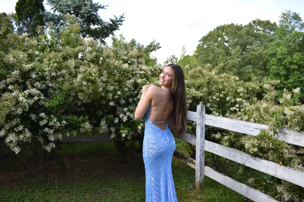 Windsor Prom Dress - Image 2