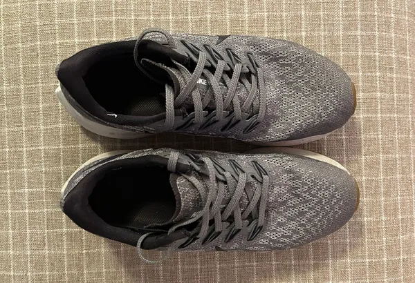Pegasus Sneakers - Image 2
