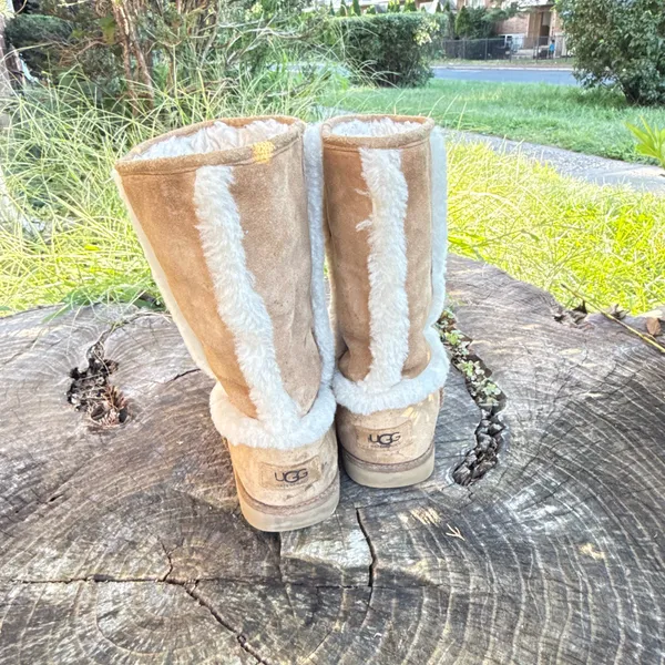 New Womens UGG Carter Chestnut Snow Winter Rain Sheepskin women Boots size 6 - Image 4