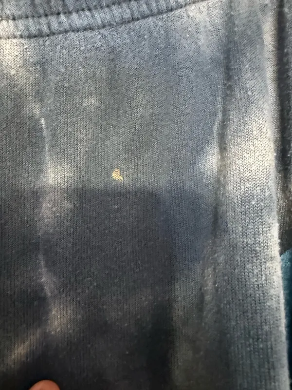 Aviator Nation Sweatpants - Image 4