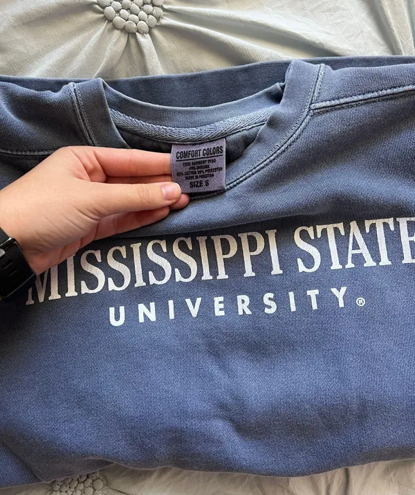 Comfort Colors Crewneck - Image 3