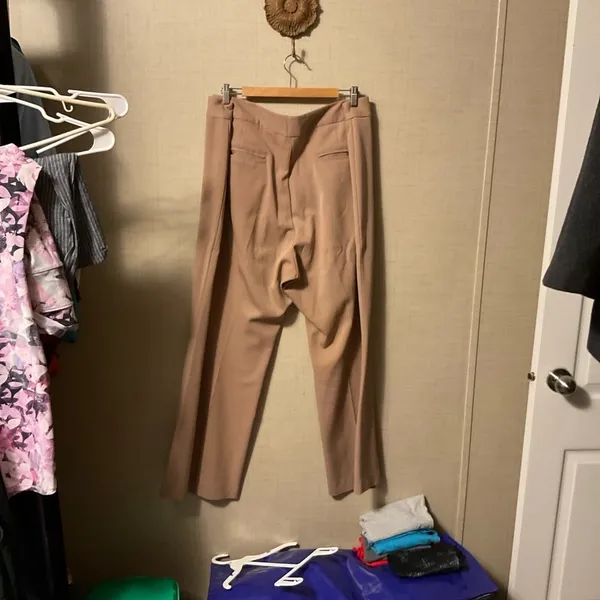 Roaman's Classic Tan Pants Size 22W - Image 3