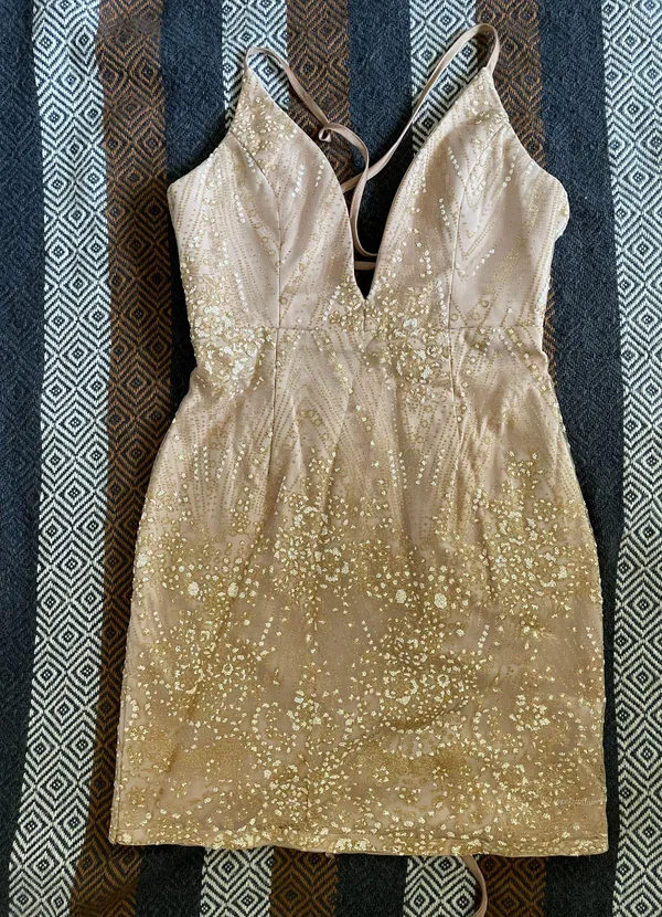 Showpo Formal Dress - Image 7