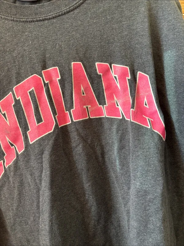 Indiana Gray Crewneck Sweatshirt with Pink Logo Large - Image 2
