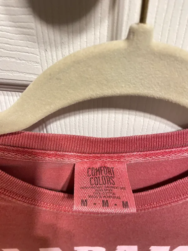 Comfort Colors Alabama Tee - Image 2