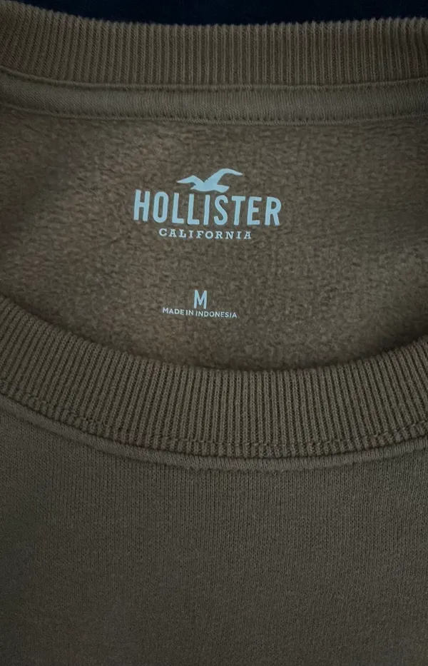 Hollister Hoodie - Image 4