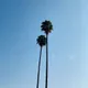 Dat Beverly Hills C.