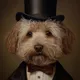 dogmama b.