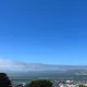 joce W.
