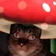 Caty B.