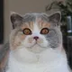 Sophie S.