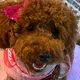 viviana c.