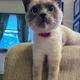 Stella F.