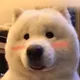 Nanalala J.