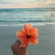 alina m.