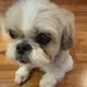 lily h.