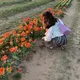 Celeste F.