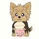 Yorkie Cute S.