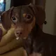 Bella O.