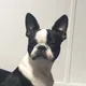 R P.