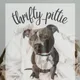 Geraldine V.