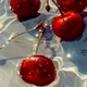 Elise J.