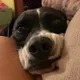 Audrey S.