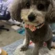 Tiffany W.