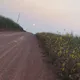 R D.