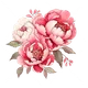 Doni H.