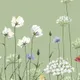 Kelsey T.