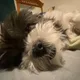 Lilly F.