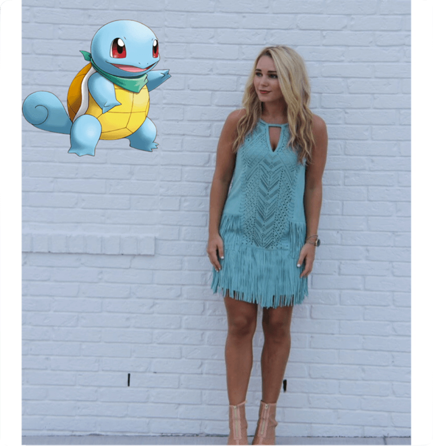Ally Pokemon
