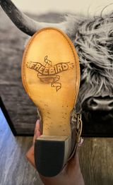 Free Bird Photo 0