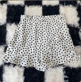 Zara Polka Dot Multi Skirt Photo 0