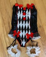 Harley Quinn Costume Photo 0