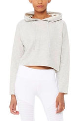Alo Yoga Box Sweat Crop Hoodie in Gray Photo 0