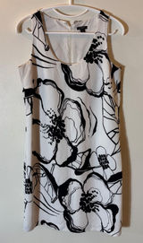 Ann‎ Taylor Petite Black White Floral Sketch Sleeveless Shift Dress Size 4P Photo 0