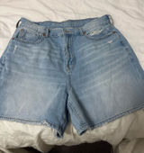 American Eagle shorts size 10  Photo 0